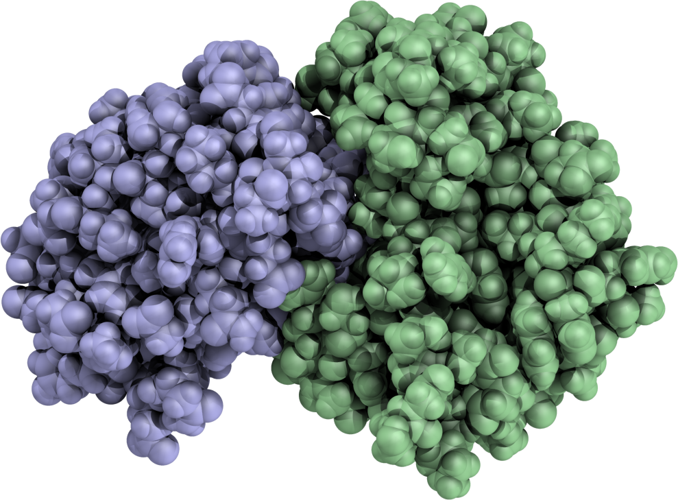 How do mutations impact protein-protein binding?